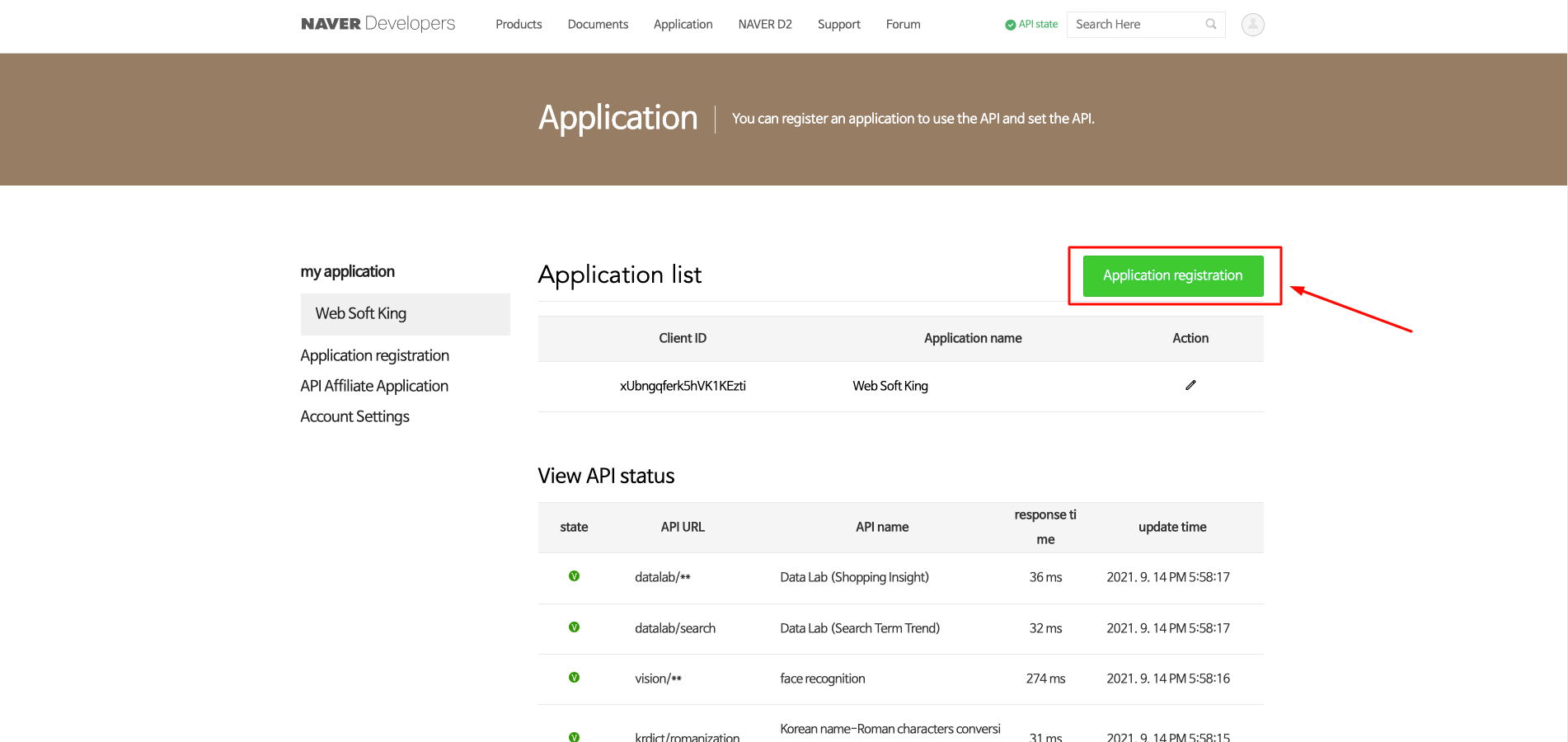 Naver Application Console registration button
